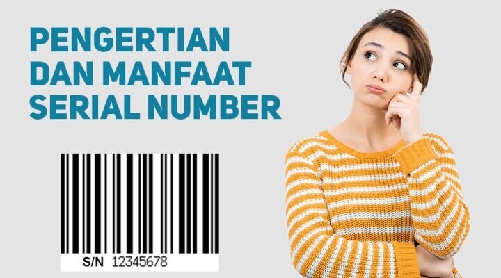 apa itu serial number